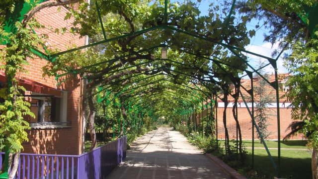 Entrada al "emparrado" del jardín