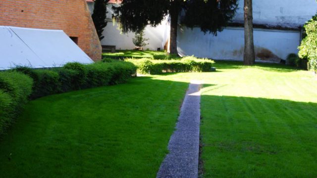 Hacia la rotonda del internado