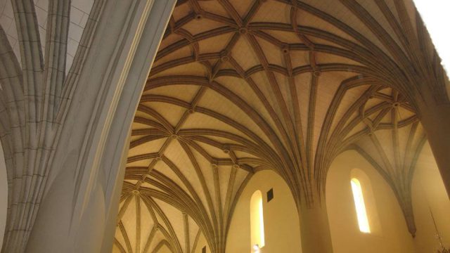 Detalle de las nervaduras