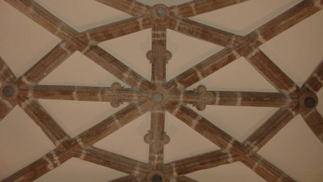 Detalle de las nervaduras