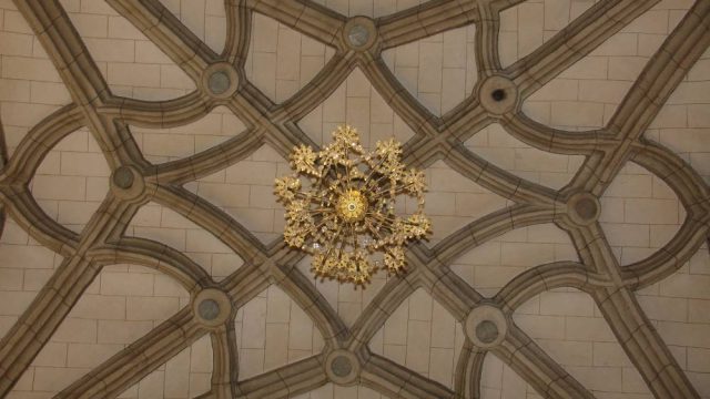 Detalle de las nervaduras