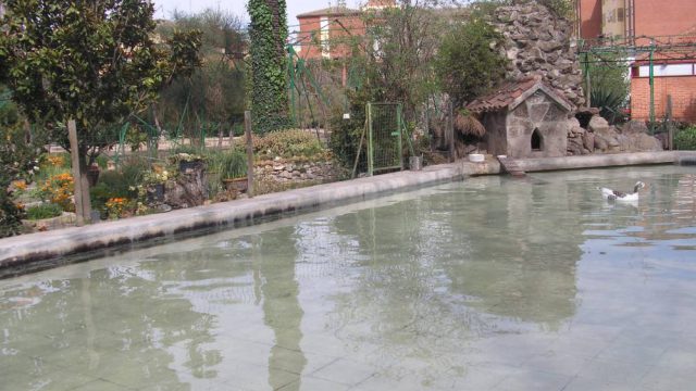 Estanque