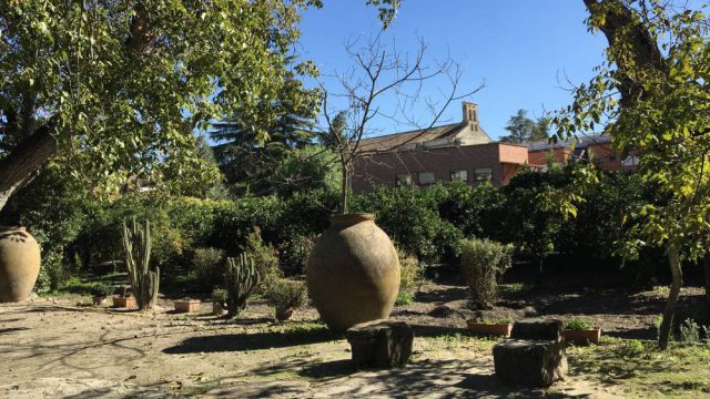 Vista desde "Los Nogales"