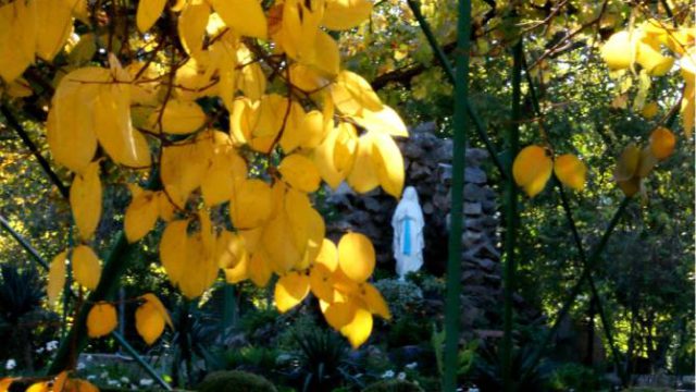 Gruta de la Virgen de Lourdes