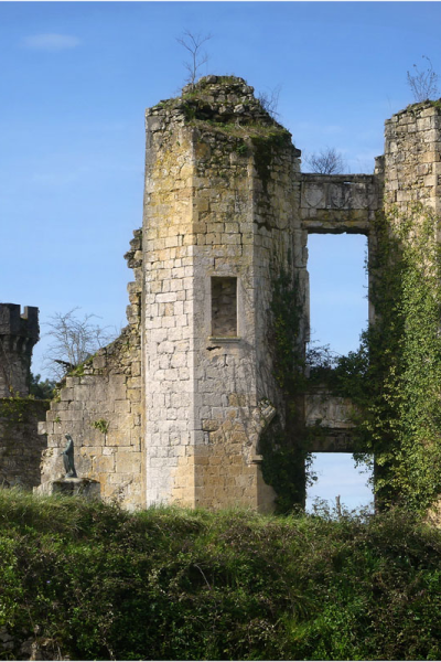 castillo_landiras Restos del castillo de Landirás. FOTO: https://ducoteduteich.com