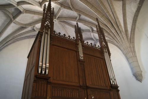 Órgano